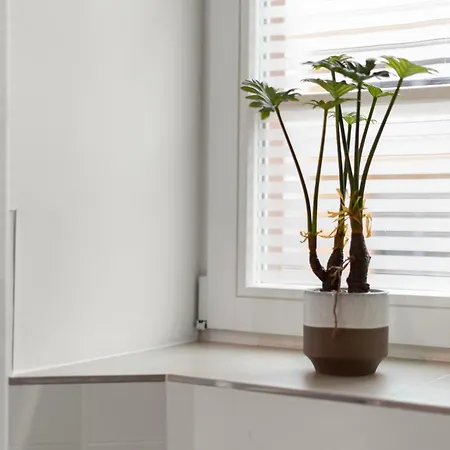 Apartment Traumhaft Gelegene Altbau-wohnung Im Herzen Von - Parking *